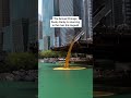 70,000  rubber ducks dumped into the Chicago River #shorts