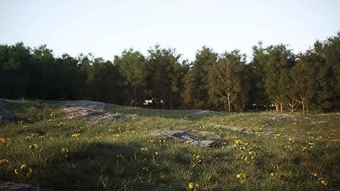 How to use Corona Scatter with Splines...