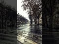White noise - Rainy Street Vibe