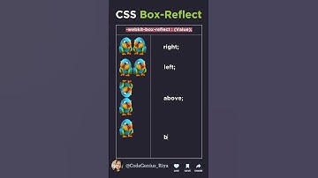 CSS Box-Reflect With Animation #html #css #javascript #shorts #viralshorts #shortvideos #trending