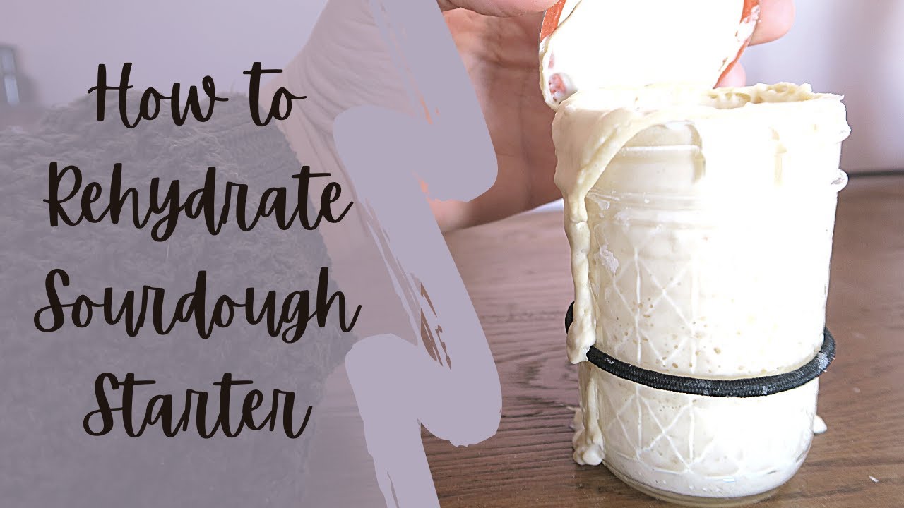 Sourdough 101 How to Rehydrate Your Sourdough Starter YouTube