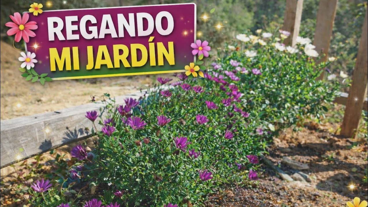 Un rato regando mi jardín 🌿✨