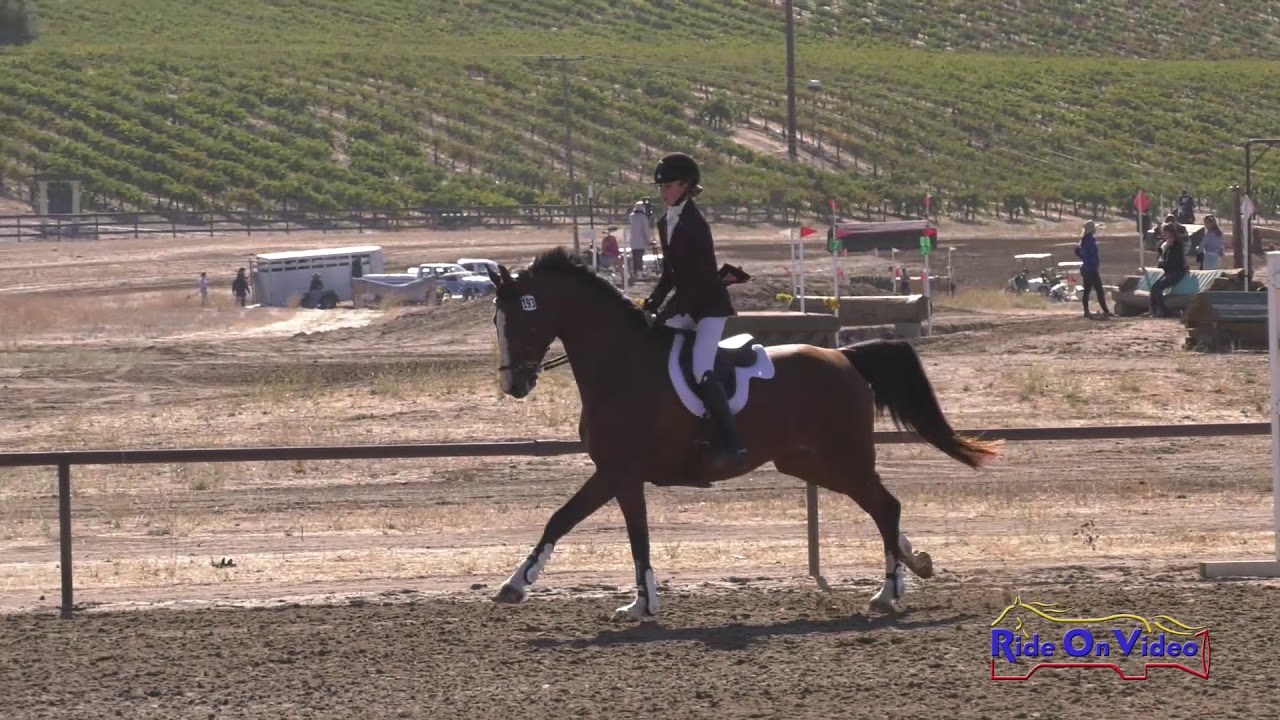 riverdale 193S Rhiannon Gorin on CSF Handsome JR Novice Show Jumping Twin Rivers Ranch Sept. 2019