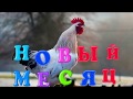 НАСТУПИЛ ФЕВРАЛЬ!