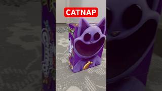 UNBOXING CATNAP MYSTERY BOX!! #smilingcritters