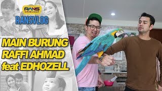 Ini Caranya Memberi Makan Burung Puluhan Juta!!