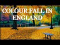 COLOUR FALL IN ENGLAND