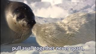 Download lagu Love in any language, Sandi Patty