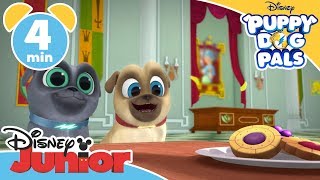 Puppy Dog Pals Tea With The Queen - Magical Moment Disney Kids