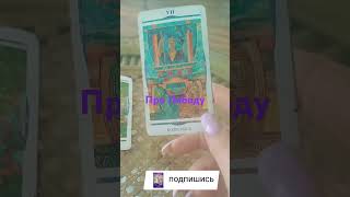 Про Лободу. Бюрократия, политика, семья, связь с общественостью #таро #tarot # Лобода