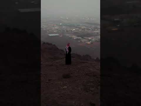 ولرب نازله يضيق لها الفتى ذرعا