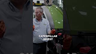 I Discovered The Secret To Caterpillars Cat Logo Design