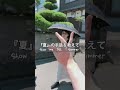 『夏』の手話を教えて!#手話 #signlanguage #silent