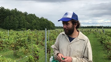 Échantillonnage par grappes !
