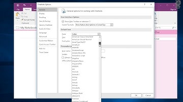 How to Change Default Font Size and Type in OneNote