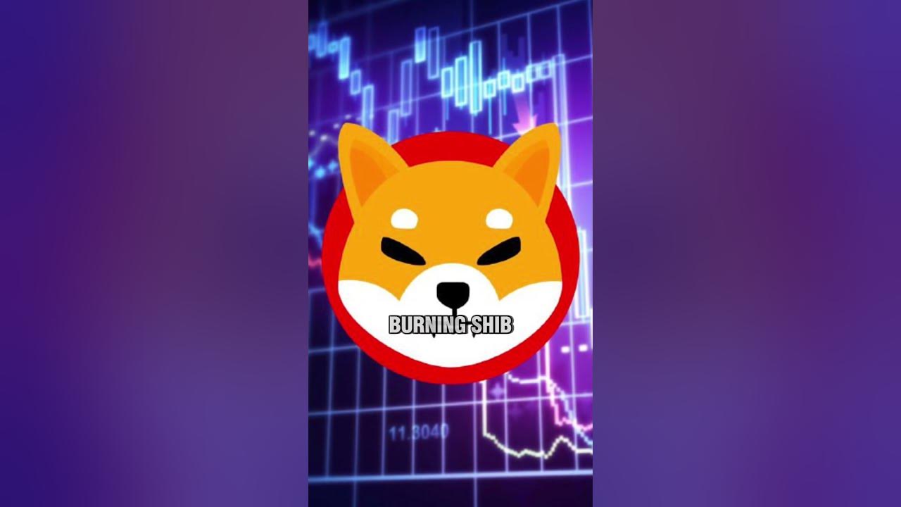 Can SHIBA INU Hit 1 Cent YouTube can-shiba-inu-hit-1-cent-youtube