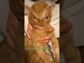 ヒゲずっと伸びなかったけど…