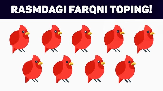 Toplargacha eshakda ulkan Dik