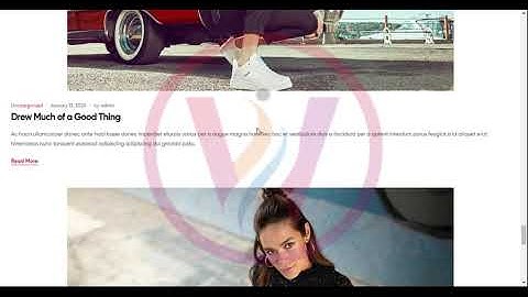 WordPress Ekommart Theme Demo Video