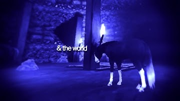 part 4 & 10 "serotonin"