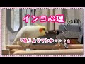 嫌いな相棒でもそば居れば安心です。　【きなこのお父さんのHOW TO BIRD】オカメインコと愉快な仲間たち