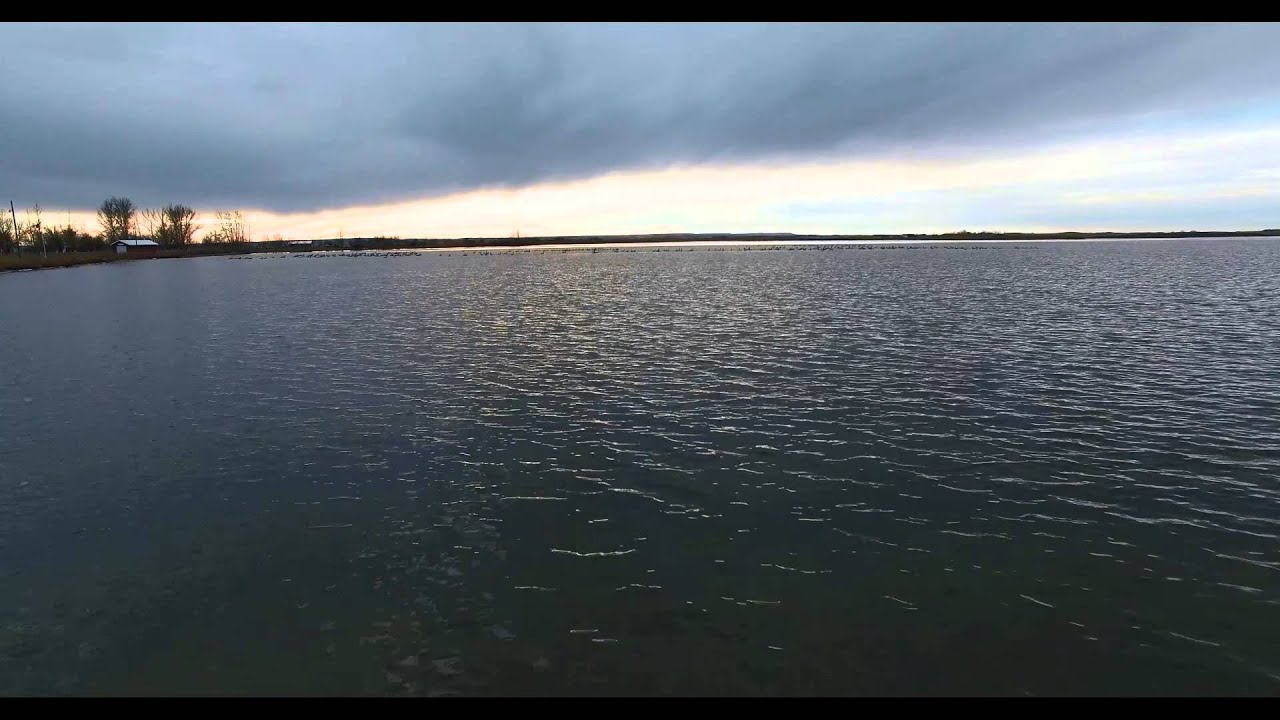 Fox Lake YouTube
