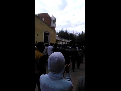 Barattoota University Madda Walabu Damee Gobbaa