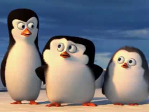  Pinguin  Lucu  Lagu Anak Anak YouTube