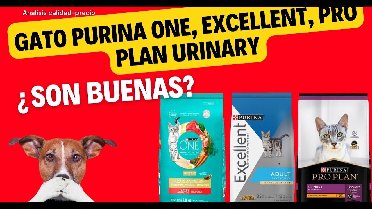 Analisis de Croquetas Gato Purina one, Excellent, Pro Plan Urinary
