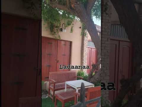 وأك ت م حالى عن ذ وى الج هل ر ي ب ة ل ئ لا ي رانى كل واش م ش ن ع