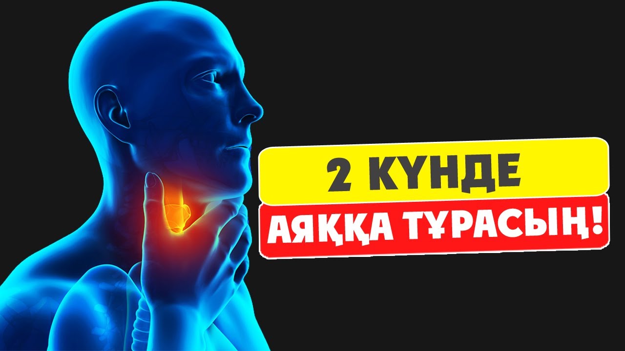 Жанды тұсқағаз кеуделері