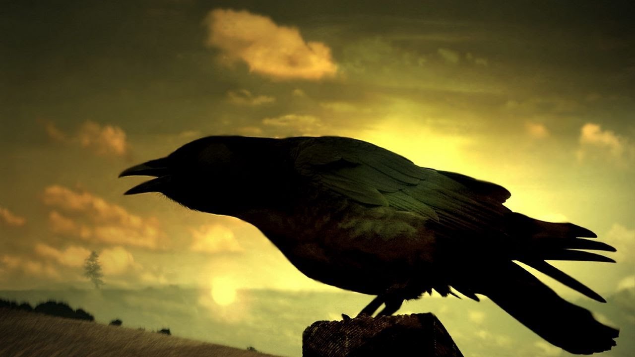 The Raven, by Edgar Allen Poe. Read by Melvin Crider Jr