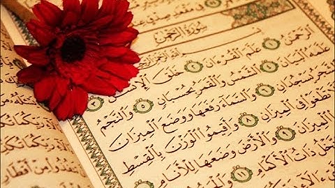 القارئ معاذ الملولي - سورة الرحمن