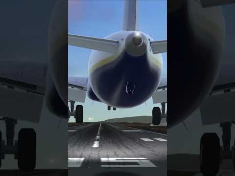 Ryanair B737-Max typical