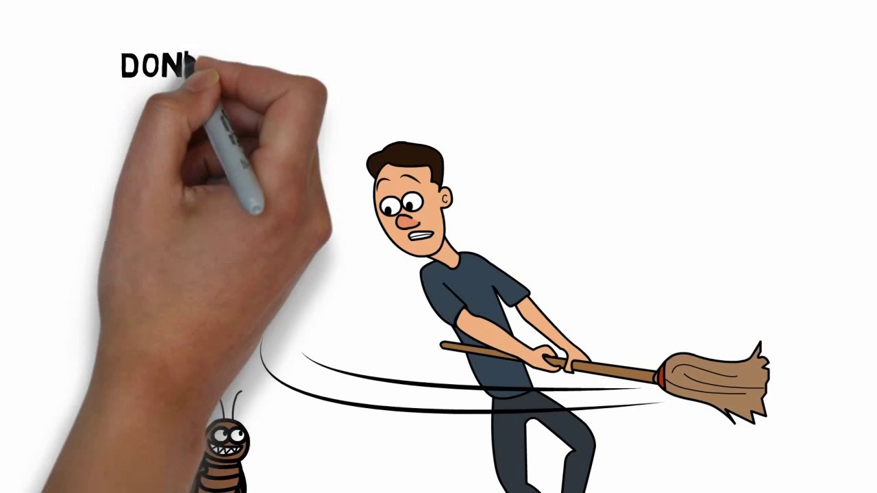 FamilyOwned Pest Control Company in Kansas City YouTube