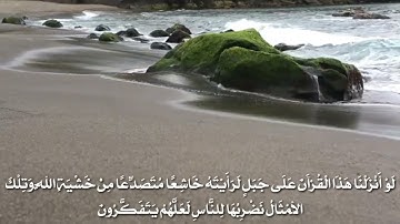سورة الحشر الشيخ محمد سلامة