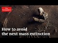 Mass extinction: what can stop it? | The Economist