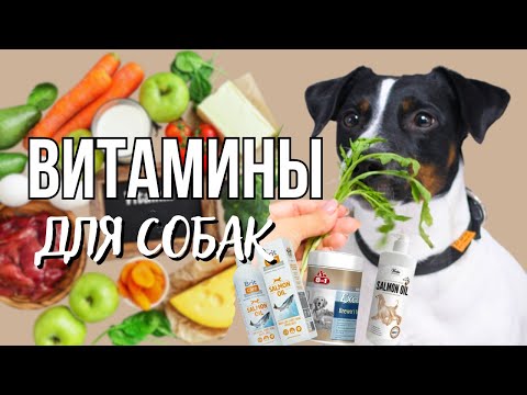 Видео: Повредит ли витамин D собаке?
