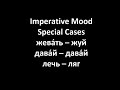 Imperative Mood in Russian Language: Special Cases / Russian Lessons Online