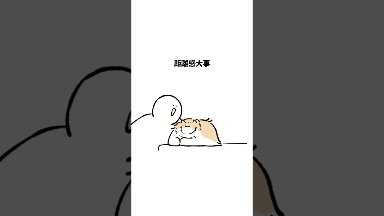 距離感大事 #cat #anime #もちわさ日 #shorts