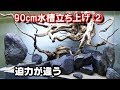 【GEX】vs【カミハタ】水中ポンプ対決！ 流木レイアウト『日淡水槽90cm＃5』