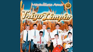 Video thumbnail of "Ministerio Musical Trigo Limpio - Salmo 137"