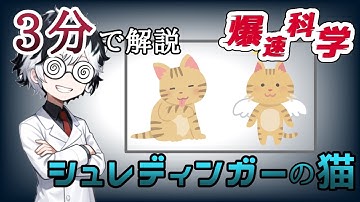 シュレディンガーの猫って結局なんなん【爆速解説】