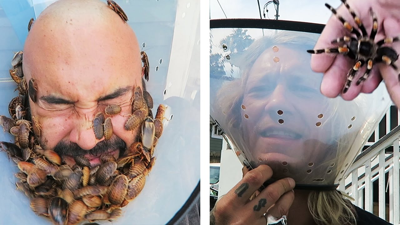 Tarantula Face Mask!! (COCKROACH IN THE EAR BONUS) w/ Brian Barczyk!