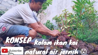 KOLAM IKAN KOI NATURAL DI LAHAN SEMPIT APA BISA YA🤔