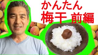 簡単 失敗しない 梅干 前編