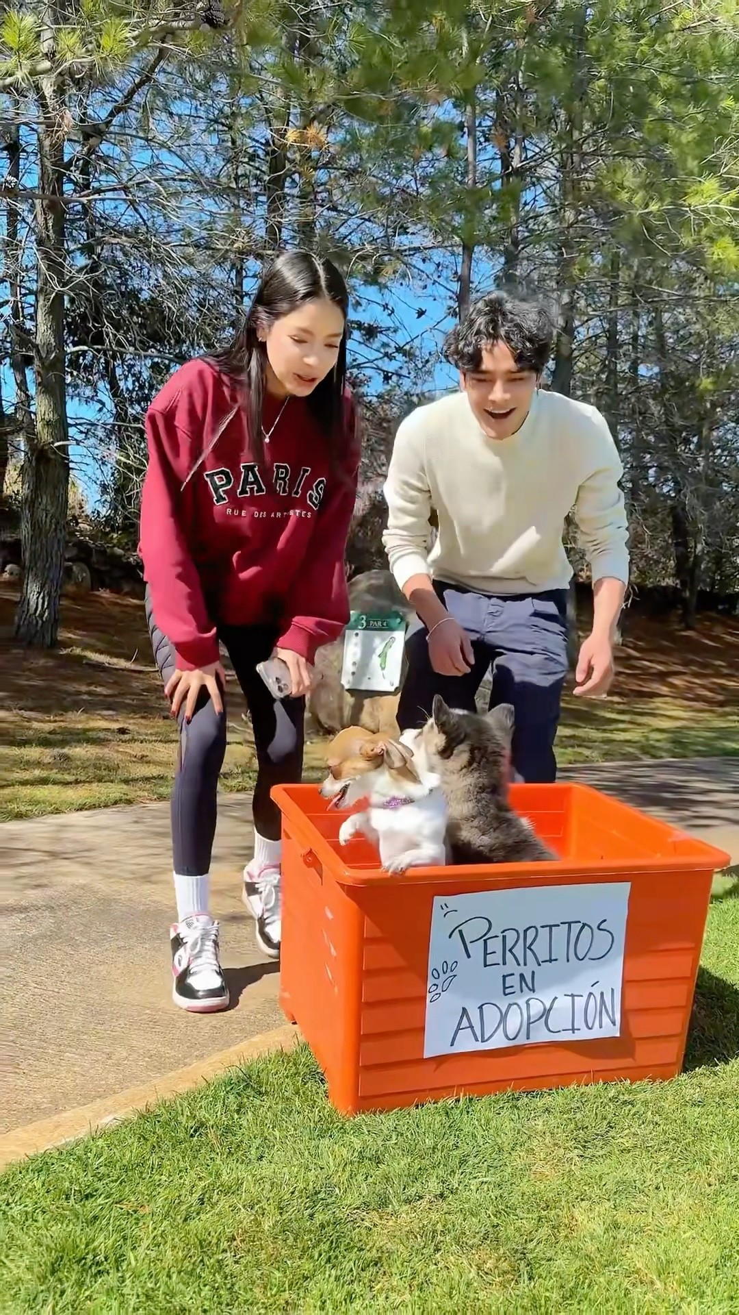 CUÁL ES EL PERRITO QUE ADOPTARÍAN ?