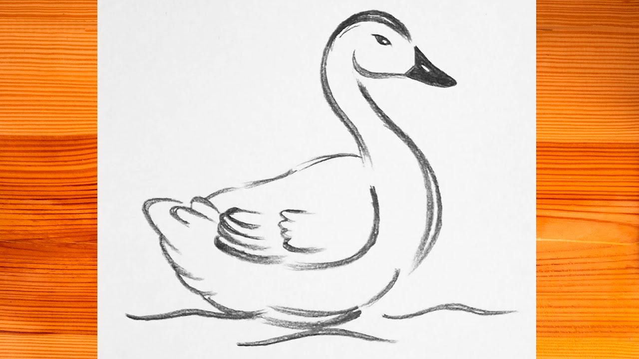 Cómo Dibujar Un Pato Realista Paso A Paso Ilustración Con Pato