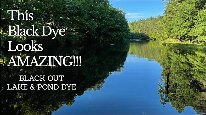 REVIEW: Sanco Industries (Crystal Blue) Black Out Lake and Pond Dye - Professional Lake & Pond Dye