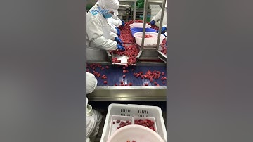 Frozen Strawberry Sorting & Packing Line